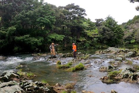 Photo of property in 317 Sawyer Road, Mangonui, 0494
