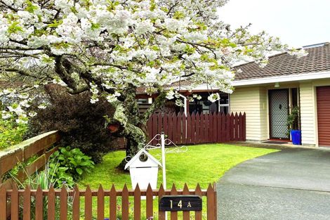 Photo of property in 14a Ruataniwha Street, Waipawa, 4210