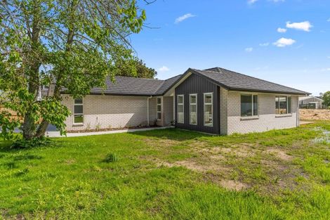 Photo of property in 46b Moir Street, Mangawhai, 0505