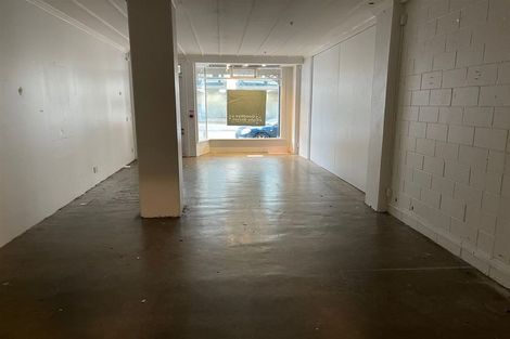 Photo of property in The Wellington Suites, 892/233 Cuba Street, Te Aro, Wellington, 6011