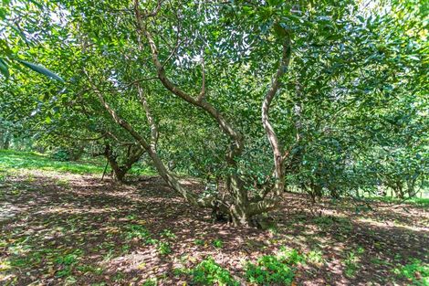 Photo of property in 231 Walford Road, Aongatete, Katikati, 3181