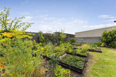 Photo of property in 127 Seabury Avenue, Foxton Beach, Foxton, 4815