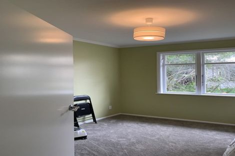 Photo of property in 32 Mabel Street, Levin, 5510