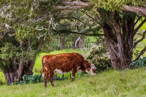 Photo of property in 5352 Kaipara Coast Highway, Wellsford, 0972