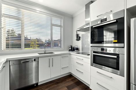 Photo of property in 6 Anson Avenue, Fairfield, Hamilton, 3214