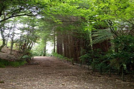 Photo of property in 288 Oropi Gorge Road, Oropi, Tauranga, 3173