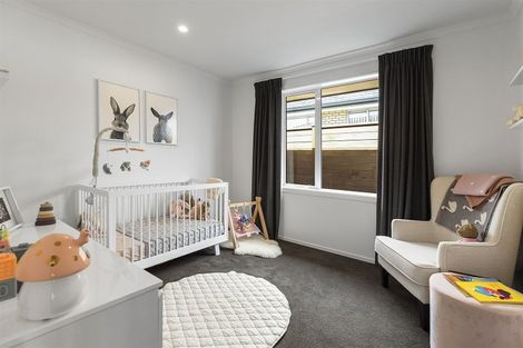 Photo of property in 113 John Burke Drive, Aotea, Porirua, 5024