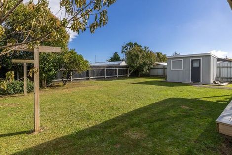 Photo of property in 8 Middlesex Street, Levin, 5510
