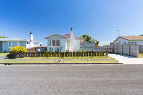 Photo of property in 38 Balmoral Street, Levin, 5510