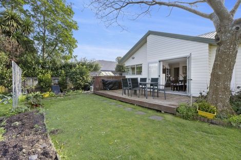 Photo of property in 181 Cheyne Road, Pyes Pa, Tauranga, 3112