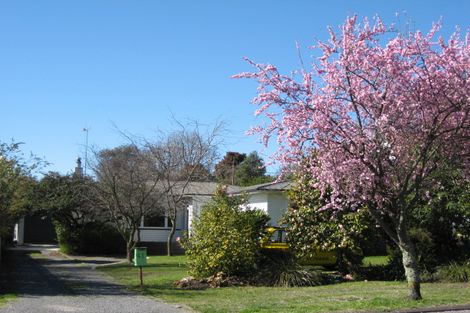 Photo of property in 41 Plassey Street, Havelock North, 4130