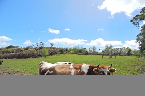 Photo of property in 424b Waimate North Road, Kerikeri, 0293