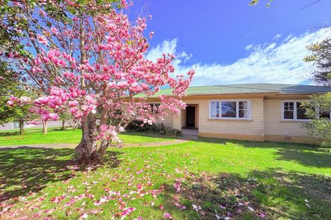 Photo of property in 8 King Street, Wairoa, 4108