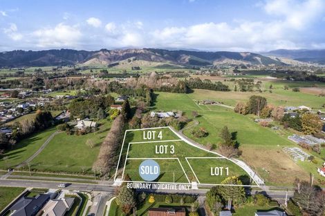 Photo of property in 48 Fairfield Road, Levin, 5510