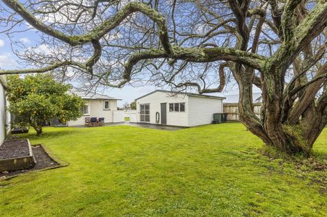 Photo of property in 58 Featherston Street, Takaro, Palmerston North, 4412