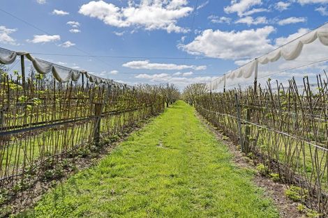 Photo of property in 1520 Tram Road, Swannanoa, Rangiora, 7475