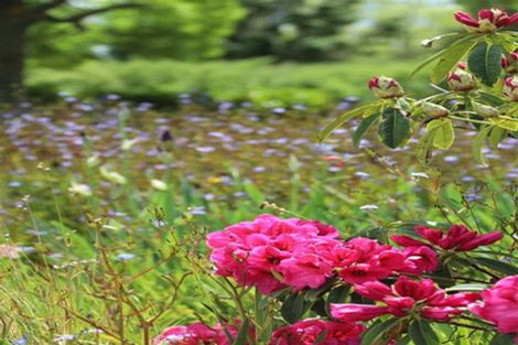 Photo of property in 145 Hall Road, Rangiriri, Te Kauwhata, 3782