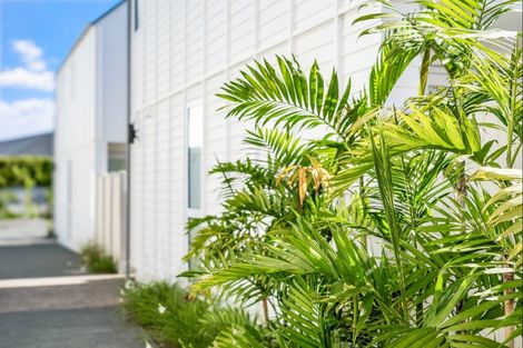 Photo of property in 6 Titoki Close, Matakana, Warkworth, 0985