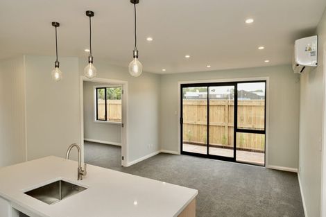 Photo of property in 17c Brightwater Terrace, Terrace End, Palmerston North, 4410