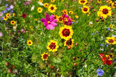 Photo of property in 476 Finnis Road, Pohangina, Feilding, 4775