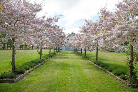 Photo of property in Tuhitarata Homestead, 2337 Kahutara Road, Pirinoa, Featherston, 5772