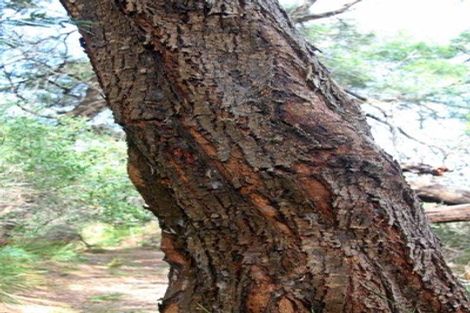 Photo of property in 63 Trig Road, Houhora, Kaitaia, 0484