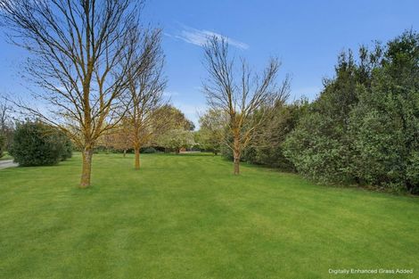 Photo of property in 51 Wilkin Street, Rotherham, 7379