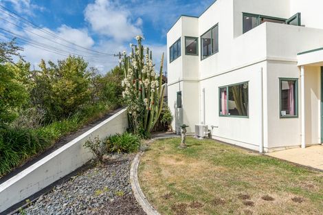 Photo of property in 45 Carey Street, Maeroa, Hamilton, 3200