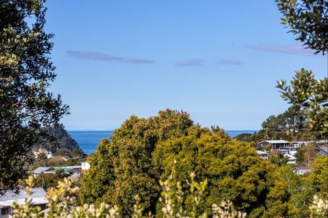 Photo of property in 43 Beachwood Drive, Hatfields Beach, Orewa, 0931