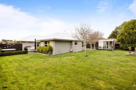Photo of property in 8 Nautilus Place, Spencerville, Christchurch, 8083