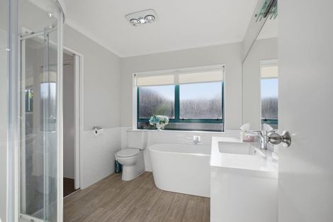 Photo of property in 243 Gloucester Road, Mount Maunganui, 3116