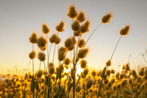 Photo of property in 74a Waiotahe Drifts Boulevard, Waiotahe, Opotiki, 3198