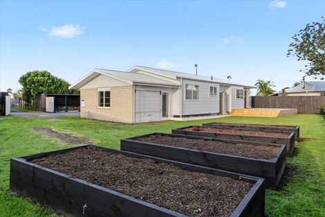 Photo of property in 60 Gloucester Road, Mount Maunganui, 3116