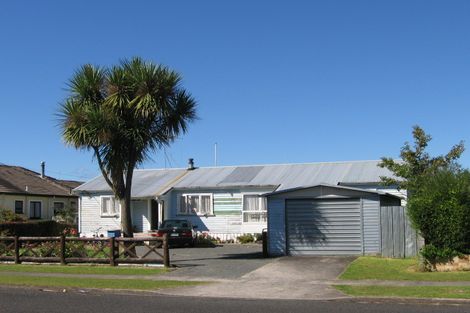 Photo of property in 15 Fitzherbert Street, Putaruru, 3411