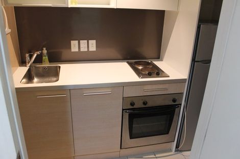 Photo of property in Luna Apartments, 3v/16 Burton Street, Grafton, Auckland, 1010