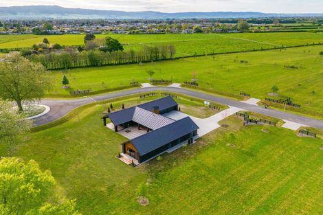 Photo of property in 7 Orchard Place, Matamata, 3472