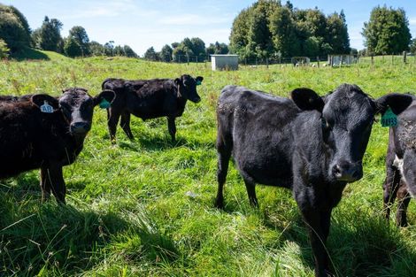 Photo of property in 1259b State Highway 5, Hamurana, Rotorua, 3072