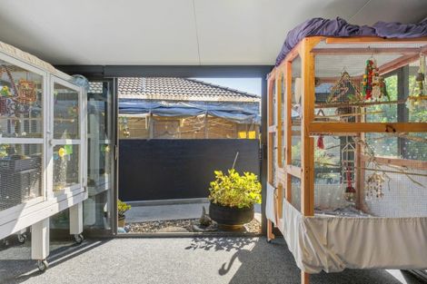 Photo of property in 6 Carrington Drive, Papamoa Beach, Papamoa, 3118