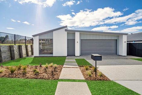 Photo of property in 19 Korora Crescent, Omokoroa, 3114