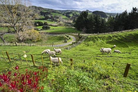 Photo of property in 122 Waipunga Road, Eskdale, Napier, 4181