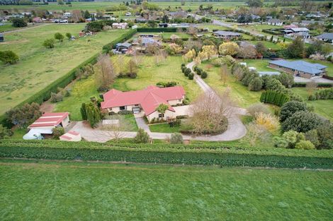 Photo of property in 51 Wilkin Street, Rotherham, 7379