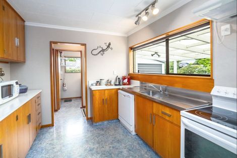 Photo of property in 103 Hillcrest Street, Solway, Masterton, 5810