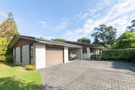 Photo of property in 42 James Cook Street, Havelock North, 4130