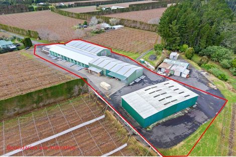 Photo of property in 288a No 3 Road, Te Puke, 3183