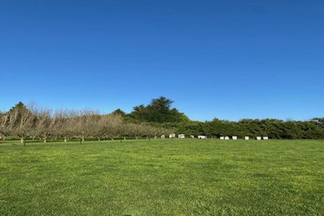 Photo of property in 80 Carters Terrace, Tinwald, Ashburton, 7700