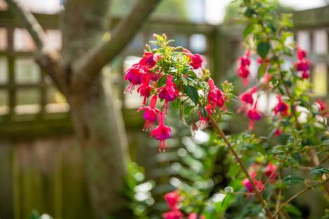 Photo of property in 31/25 Tacy Street, Kilbirnie, Wellington, 6022