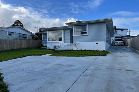 Photo of property in 17 Haycock Avenue, Mount Roskill, Auckland, 1041