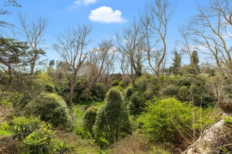 Photo of property in 8 Platinum Place, Tamahere, Hamilton, 3283