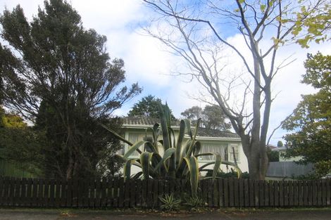 Photo of property in 58 Birmingham Street, Takaro, Palmerston North, 4412