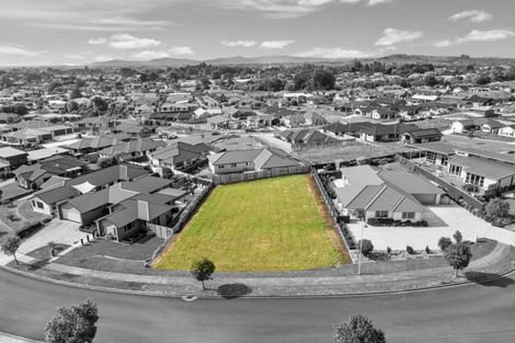 Photo of property in 17 Ballybunnion Crescent, Morrinsville, 3300